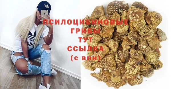 MDMA Premium VHQ Беломорск