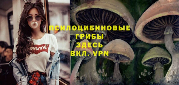 ECSTASY Балахна