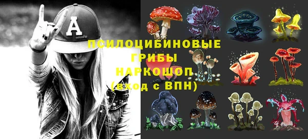 крисы Белоозёрский